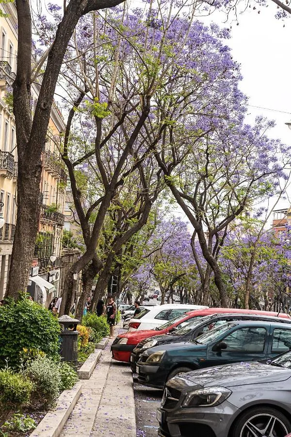 Appartement Domomea - Donna Memela à Cagliari 0*,